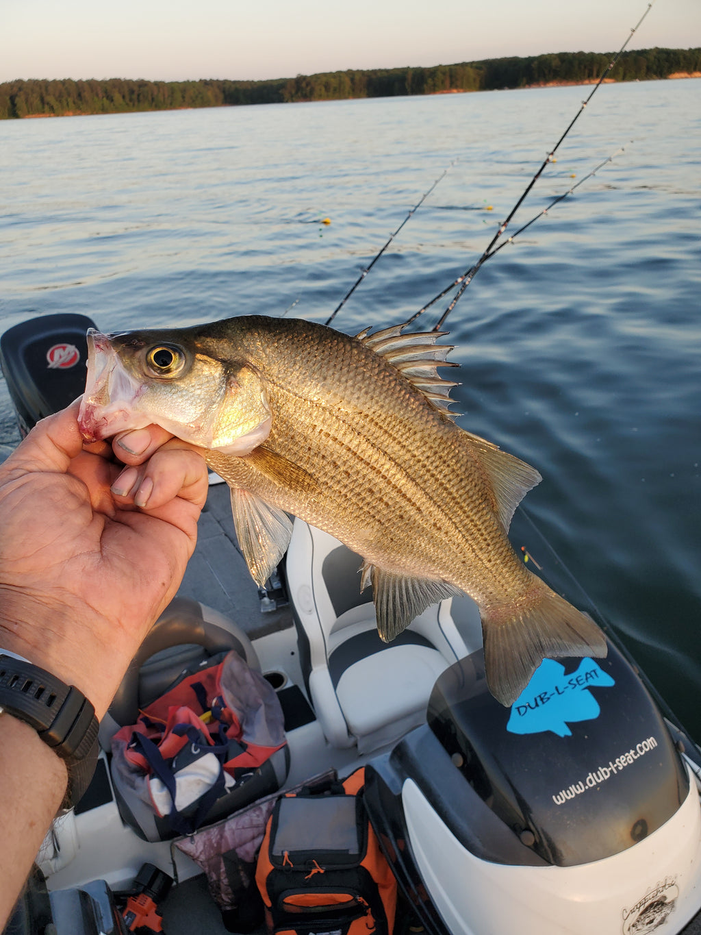 Dub-L-Up Crappie App Membership
